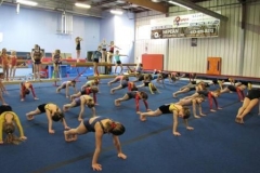 Floor Conditioning