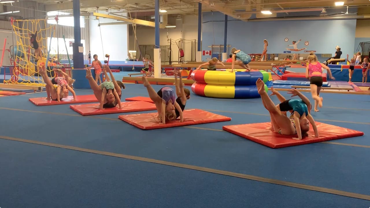 olympia gymnastics parents day out
